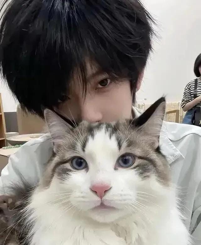 🐱 Cats:🕰️ A Brief History of Cats, Different Breeds and Personalities